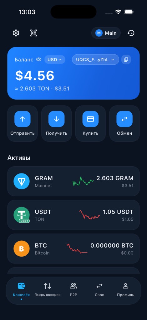 TonCoin Cash home screen